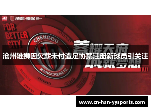 沧州雄狮因欠薪未付遭足协禁注册新球员引关注