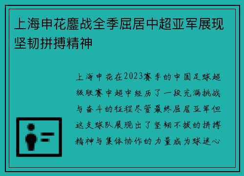 上海申花鏖战全季屈居中超亚军展现坚韧拼搏精神