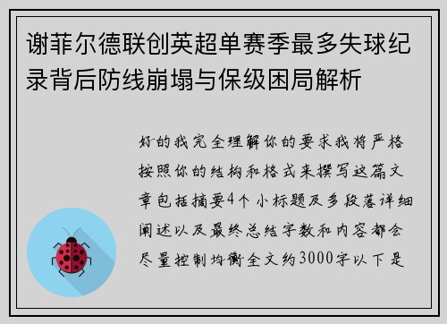 谢菲尔德联创英超单赛季最多失球纪录背后防线崩塌与保级困局解析 谢菲尔德联创英超单赛季最多失球纪录背后防线崩塌与保级困局解析